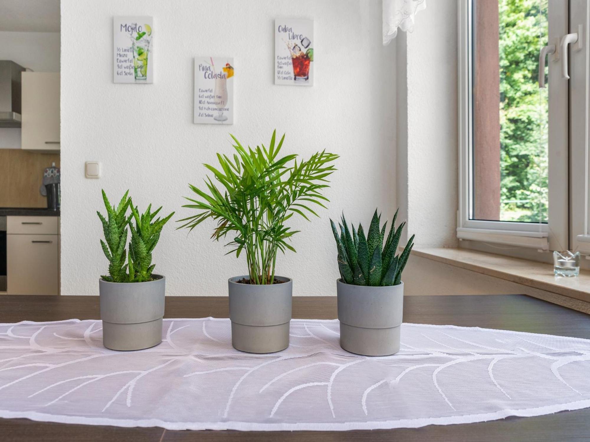 Modern Apartment In Sebnitz With A Terrace In Sebnitz Extérieur photo